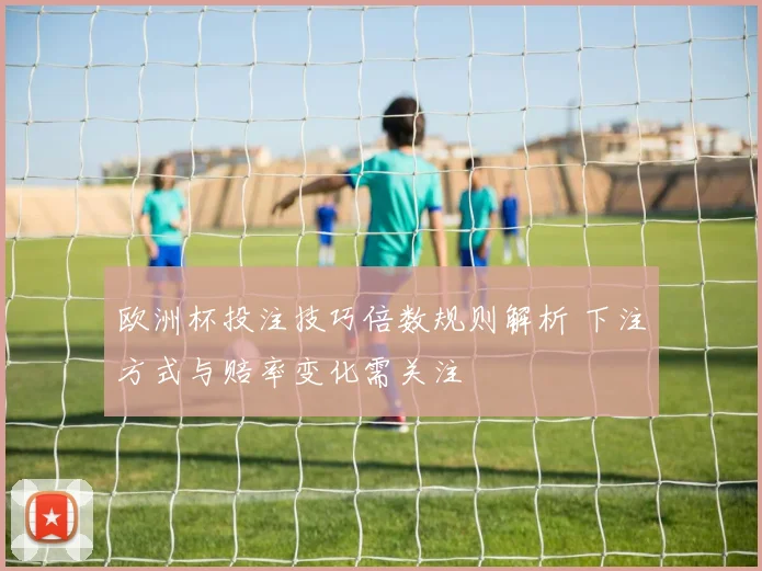 欧洲杯投注技巧倍数规则解析 下注方式与赔率变化需关注