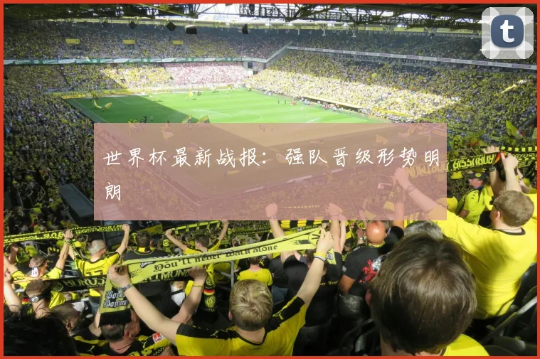 世界杯最新战报：强队晋级形势明朗