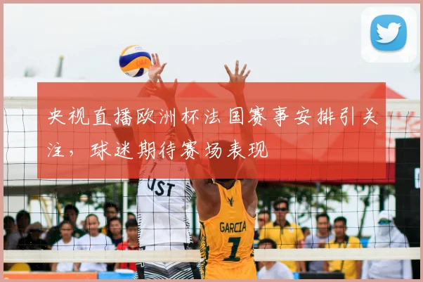 央视直播欧洲杯法国赛事安排引关注,球迷期待赛场表现